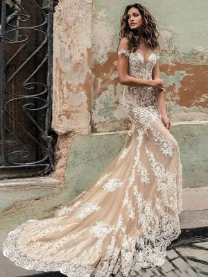 Luolandi Engagement Formal Fall Wedding Dresses Ball Gown Sweetheart Cap Sleeve Court Train Lace Bridal
