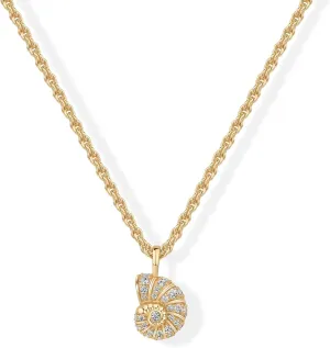 PAVOI 14K Gold Plated Dainty Statement Pendant Necklaces for Women - Hammered Circle Beachy Summer Conch Seashell Pendants - Knit Tightened Rope Chain Necklace