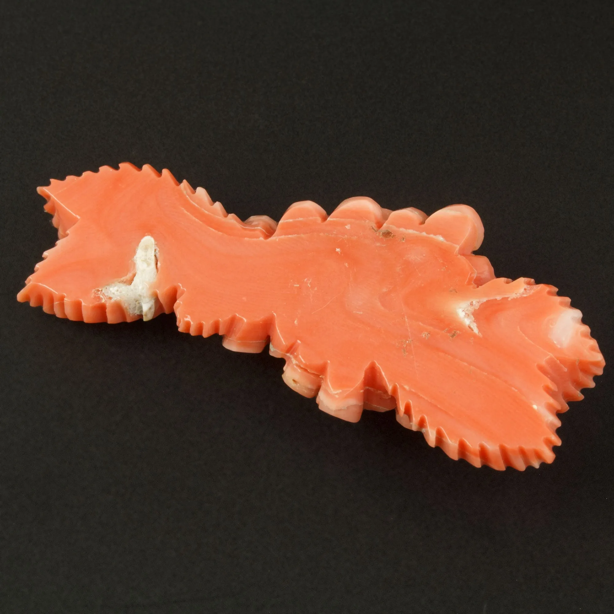 Peach Coral Cabochon carved floral design, natural, untreated.  b4-cor479